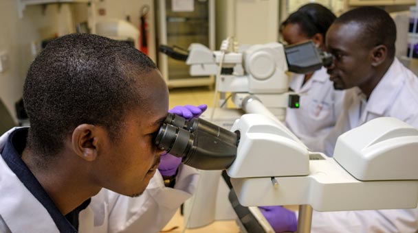 Researchers examine specimens in the histopathology lab at the UCI-Fred Hutch Cancer Center in Kampala