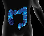 Illustration of colorectal tract