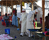 fred hutch enews ebola may 2016