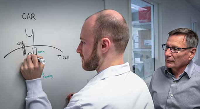Grad student Alex Salter (left) and his mentor, Dr. Stanley Riddell, led the first comprehensive study to map out how a critical design choice affects the function of a type of cancer immunotherapy.